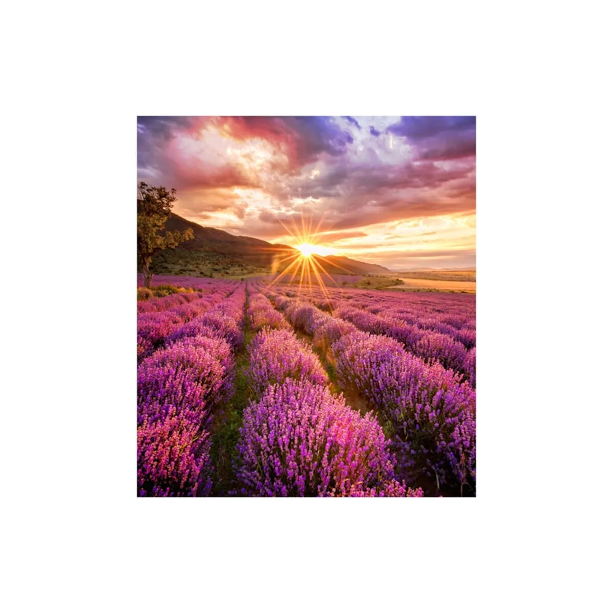 Moniteur videowall samsung lh025ifhbas en s5525149226. Diaytar a bâti sa réputation sur un mélange parfait entre produits technologiques innovants et articles généraux de qualité supérieure