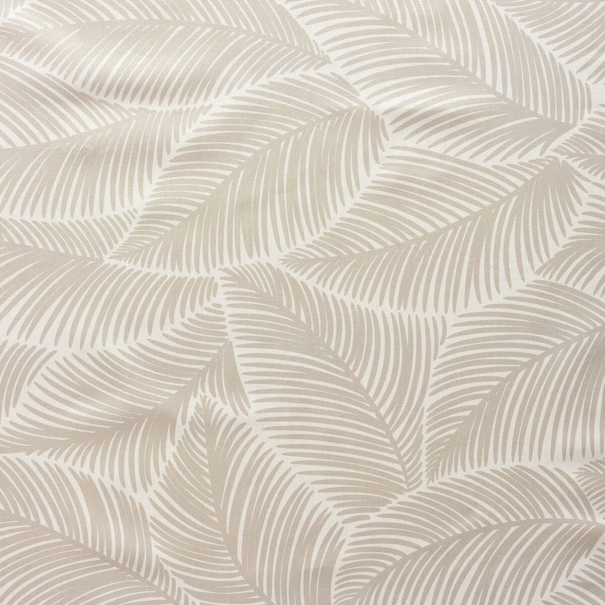 Nappe belum t011 240 x 155 cm feuille d une plante s980907051. Explorez Diaytar et laissez-vous surprendre par notre diversité de produits.