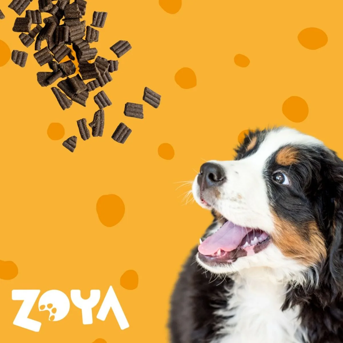 Nourriture zoya agneau 3 kg s9112318091. Diaytar, c'est la garantie de tomber sur ce produit unique qui fera de votre quotidien une expérience extraordinaire
