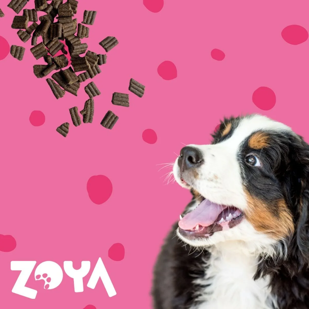 Nourriture zoya veau 1 kg s9112306835. Diaytar s'engage : derrière chaque produit se cache une promesse de qualité, de durabilité et de satisfaction.