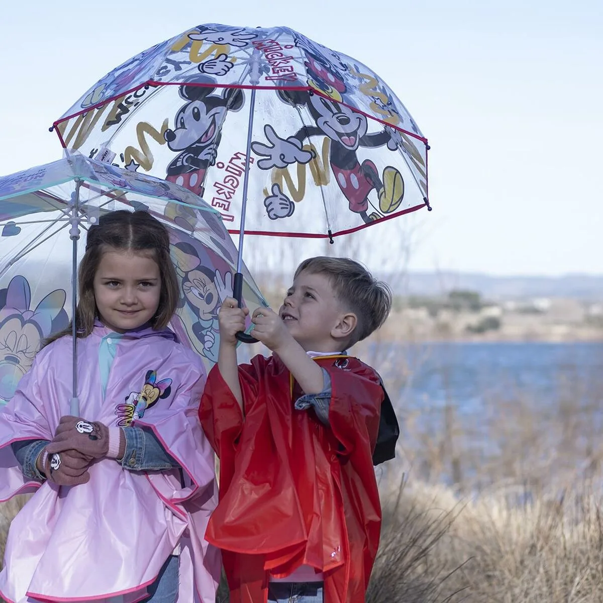 Parapluie mickey mouse transparent o 71 cm s244292539 Parapluie mickey mouse transparent o 71 cm s244292539. Chez Diaytar, chaque achat est une expérience unique. Explorez notre sélection premium !