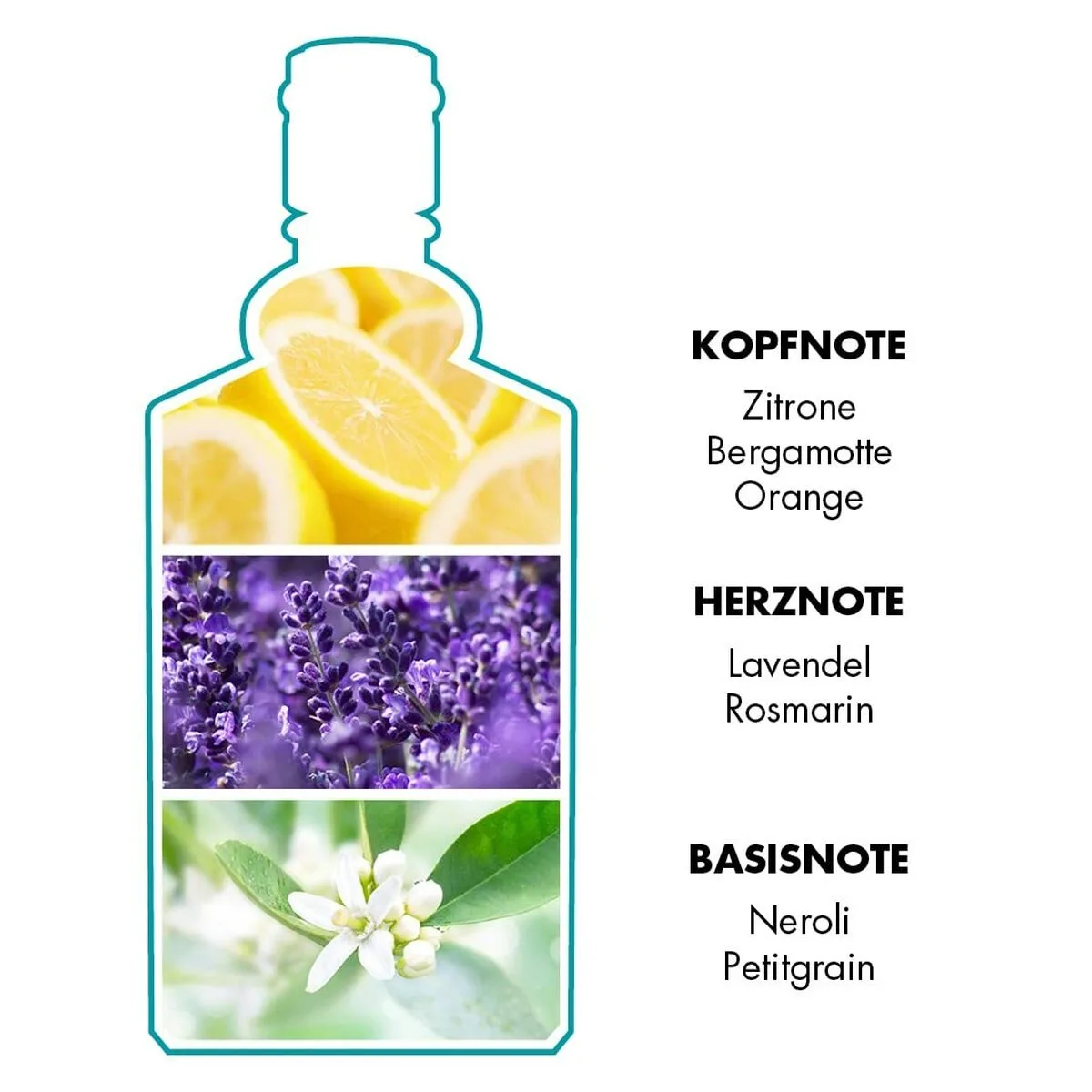 Parfum femme 4711 edc 75 ml m012293179. Votre vie, simplifiée et stylisée par Diaytar et sa collection de produits essentiels et innovants