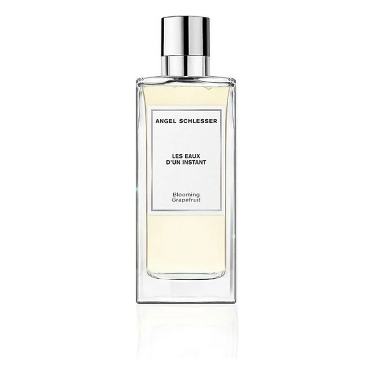 Parfum femme angel schlesser bf 8058045426837_vendor edt 100 ml s057535843. Diaytar s'adapte à vos besoins avec une gamme complète et variée.