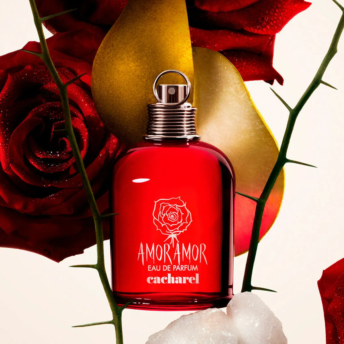 Parfum femme cacharel amor amor edp 50 ml s0512475483. Chez Diaytar, nous célébrons l'innovation sous toutes ses formes, des produits high-tech les plus fous aux objets maison les plus malins.