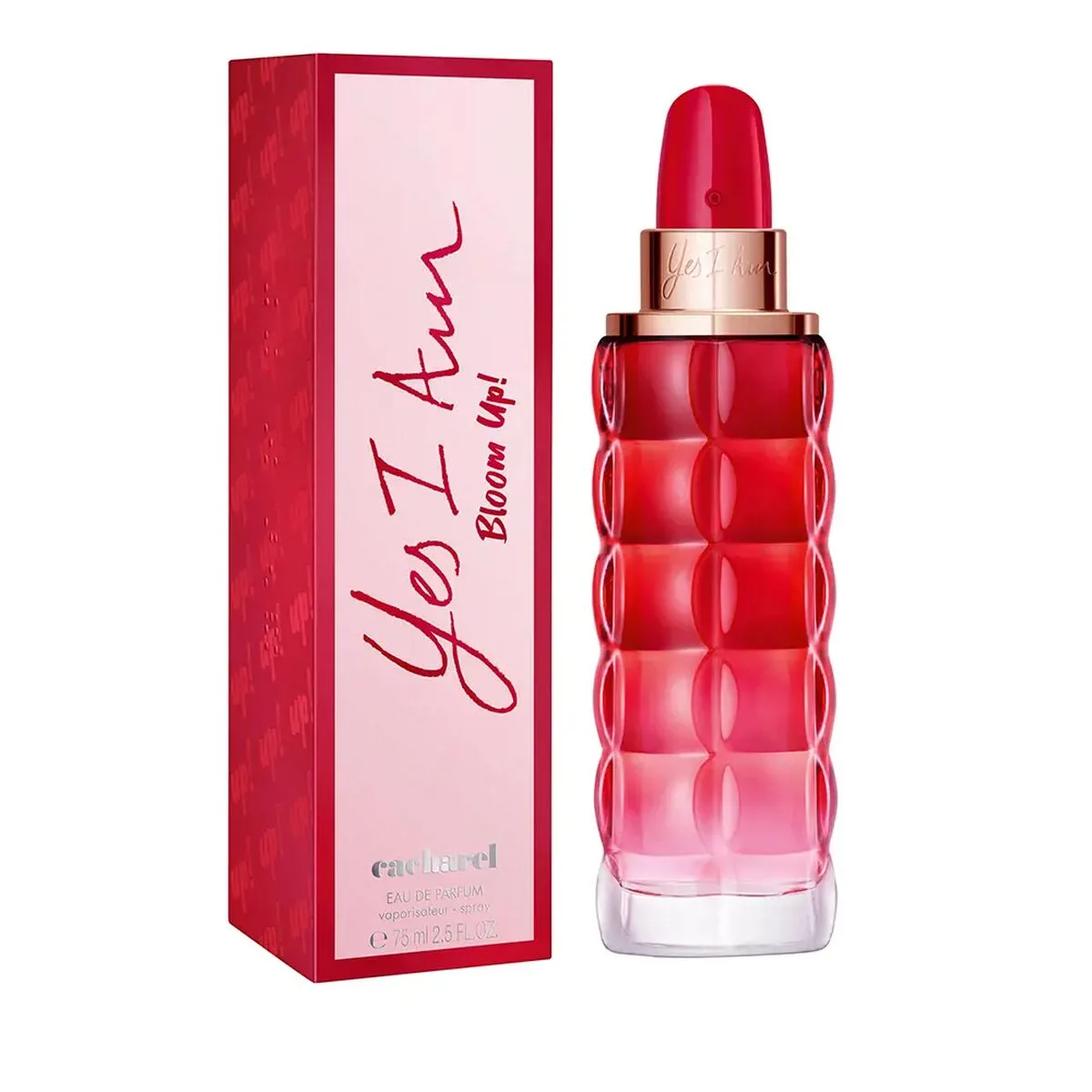 Parfum femme cacharel yes i am edp 30 ml s0511185177. Notre credo ? L'excellence accessible. Diaytar rend le premium attainable dans chaque catégorie de produits.