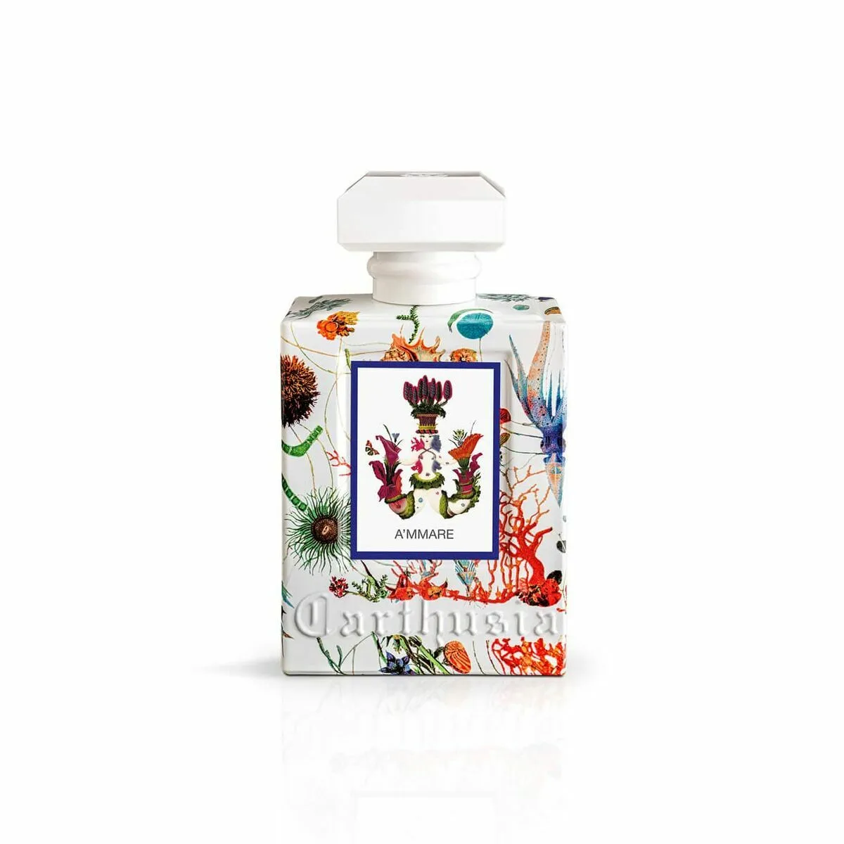 Parfum femme carthusia a mmare 100 ml s0512818676. L'esprit Diaytar : une curiosité insatiable pour dénicher les produits généraux et électroniques qui feront demain