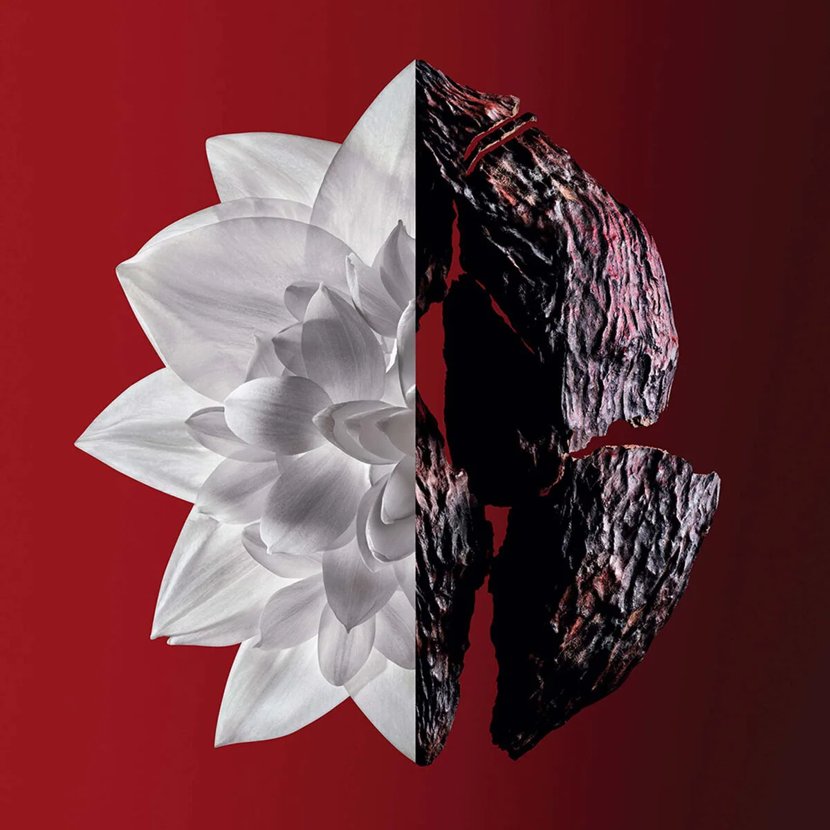 Parfum femme givenchy l interdit rouge ultime 35 ml s0511673288. Diaytar, c'est l'art de la sérendipité appliqué au e-commerce : vous venez pour une chose, vous repartez avec l'objet de vos rêves.