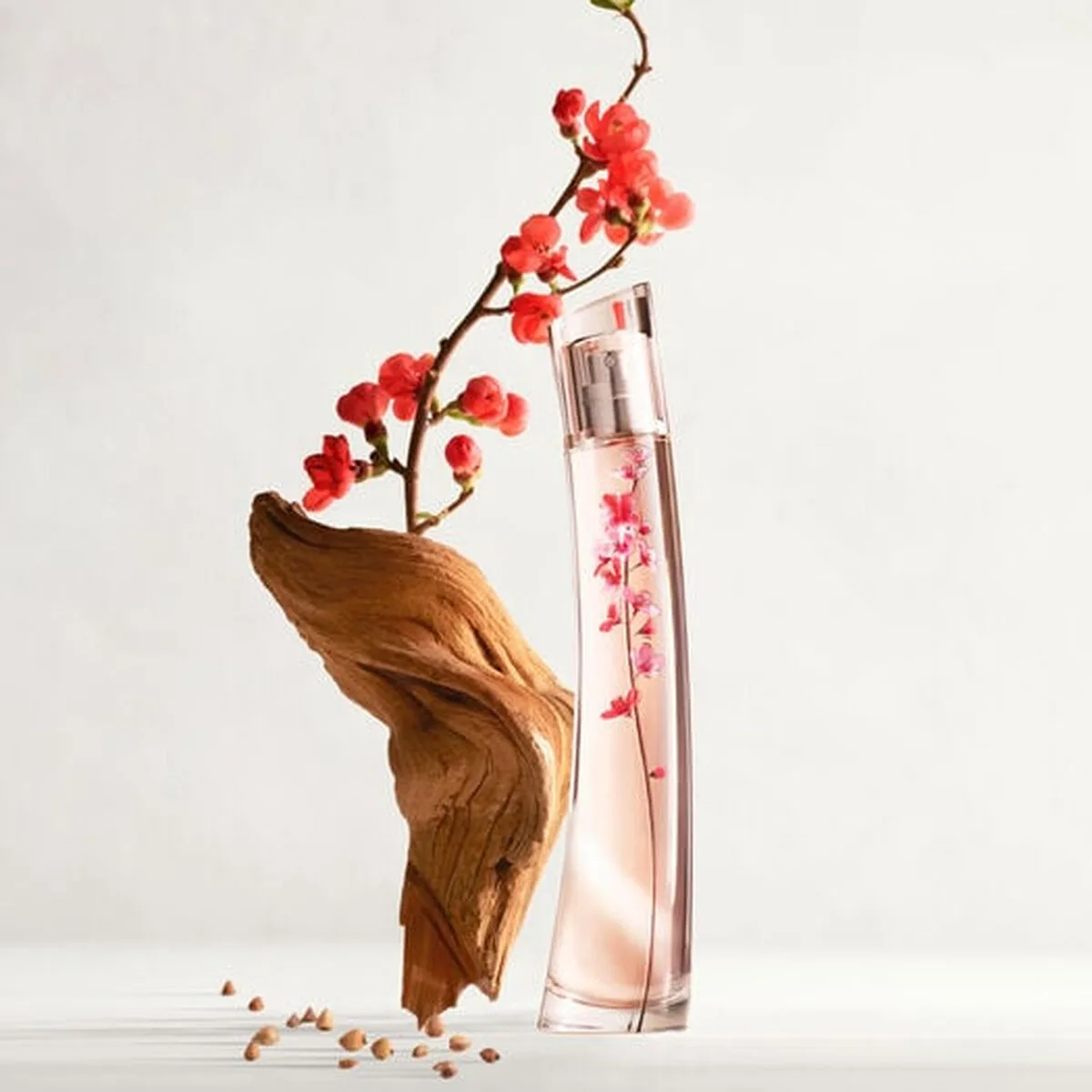 Parfum femme kenzo flower ikebana edp 40 ml s0511446510. Nous sélectionnons pour Diaytar des produits qui ont une histoire, une âme, et qui sauront trouver une place dans la vôtre.