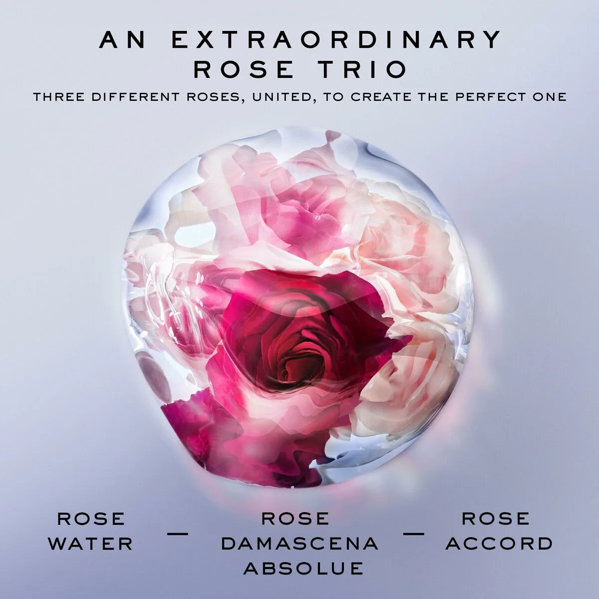 Parfum femme lancome la vie est belle rose extraordinaire edp edp 100 ml s0512252088. Diaytar, c'est la promesse de trouver ce produit parfait qui répondra à un besoin précis tout en étant un objet de désir