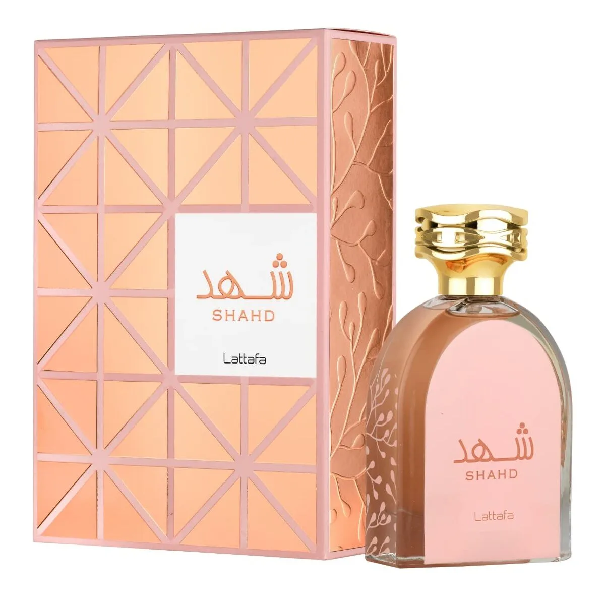 Parfum femme lattafa edp shahd 100 ml s831583758. Diaytar, le compagnon des esprits créatifs et exigeants en quête de produits généraux hors des sentiers battus
