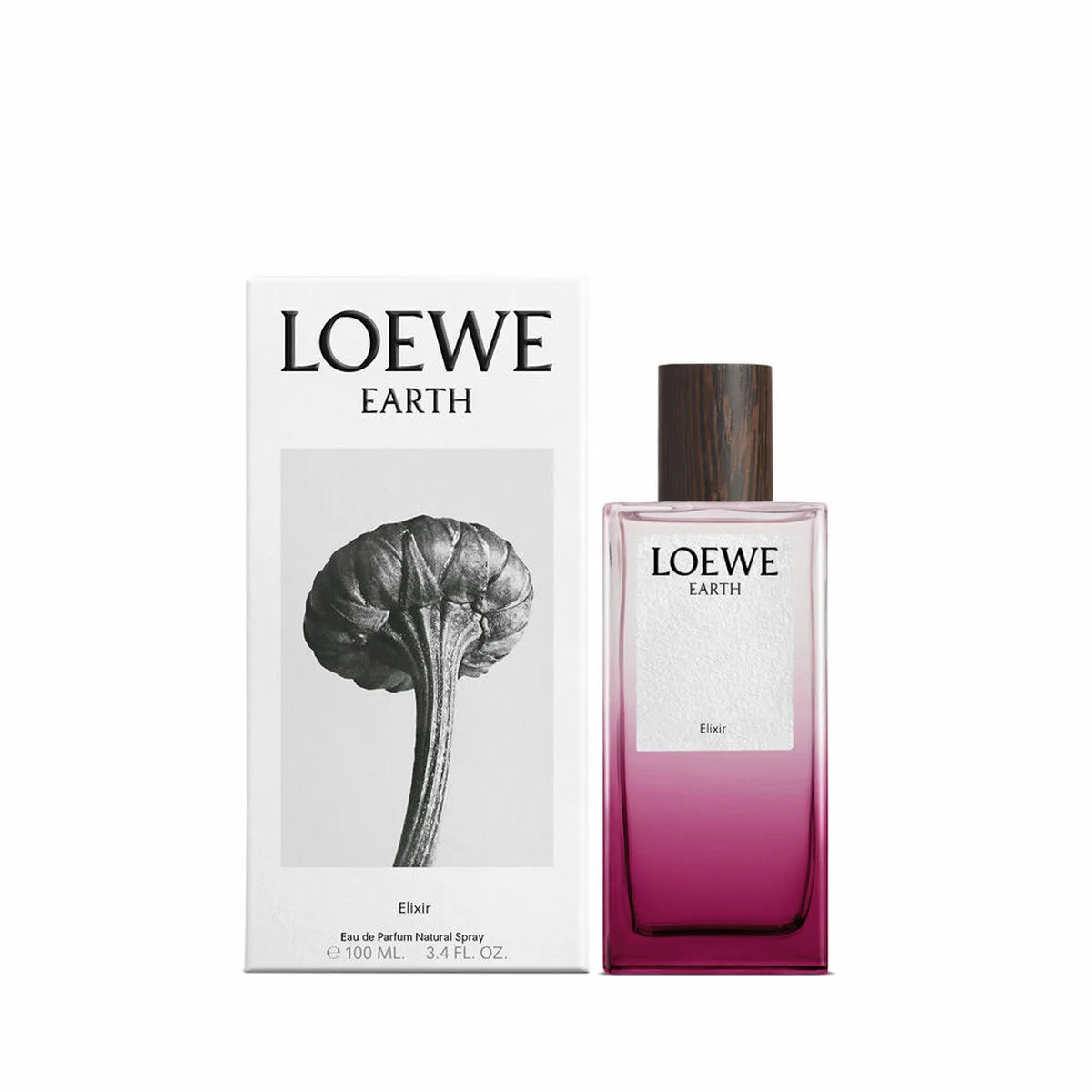 Parfum femme loewe earth 100 ml s0512690418. Innovation, style et qualité : les trois piliers de l'expérience Diaytar.
