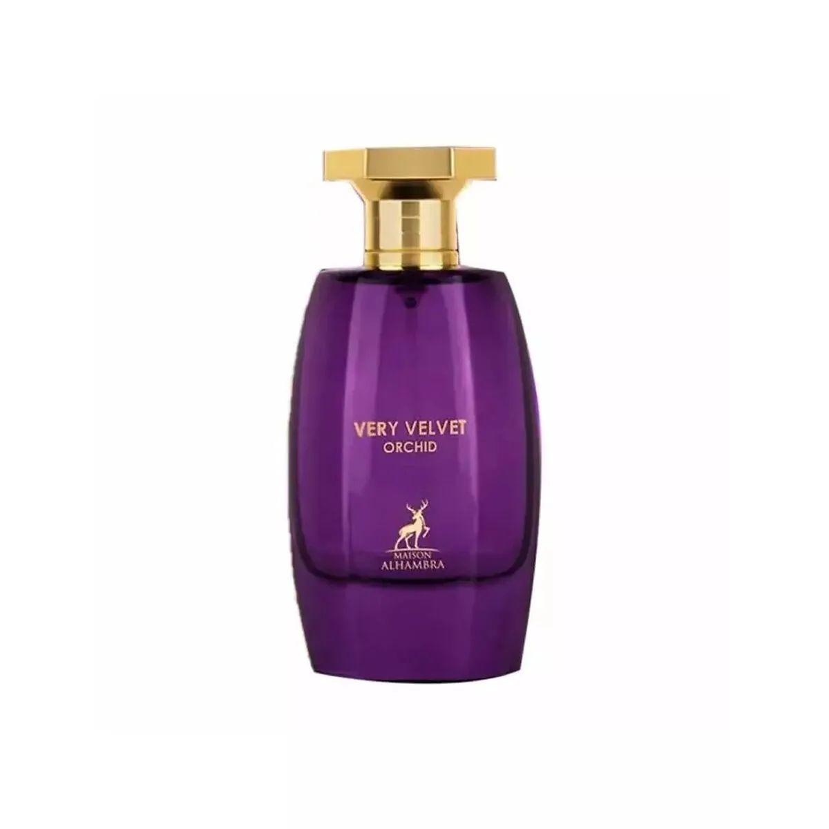 Parfum femme maison alhambra edp very velvet orchid 100 ml s831661917. Diaytar réinvente le e-commerce avec une approche généraliste axée sur la qualité, la tendance et l'accessibilité