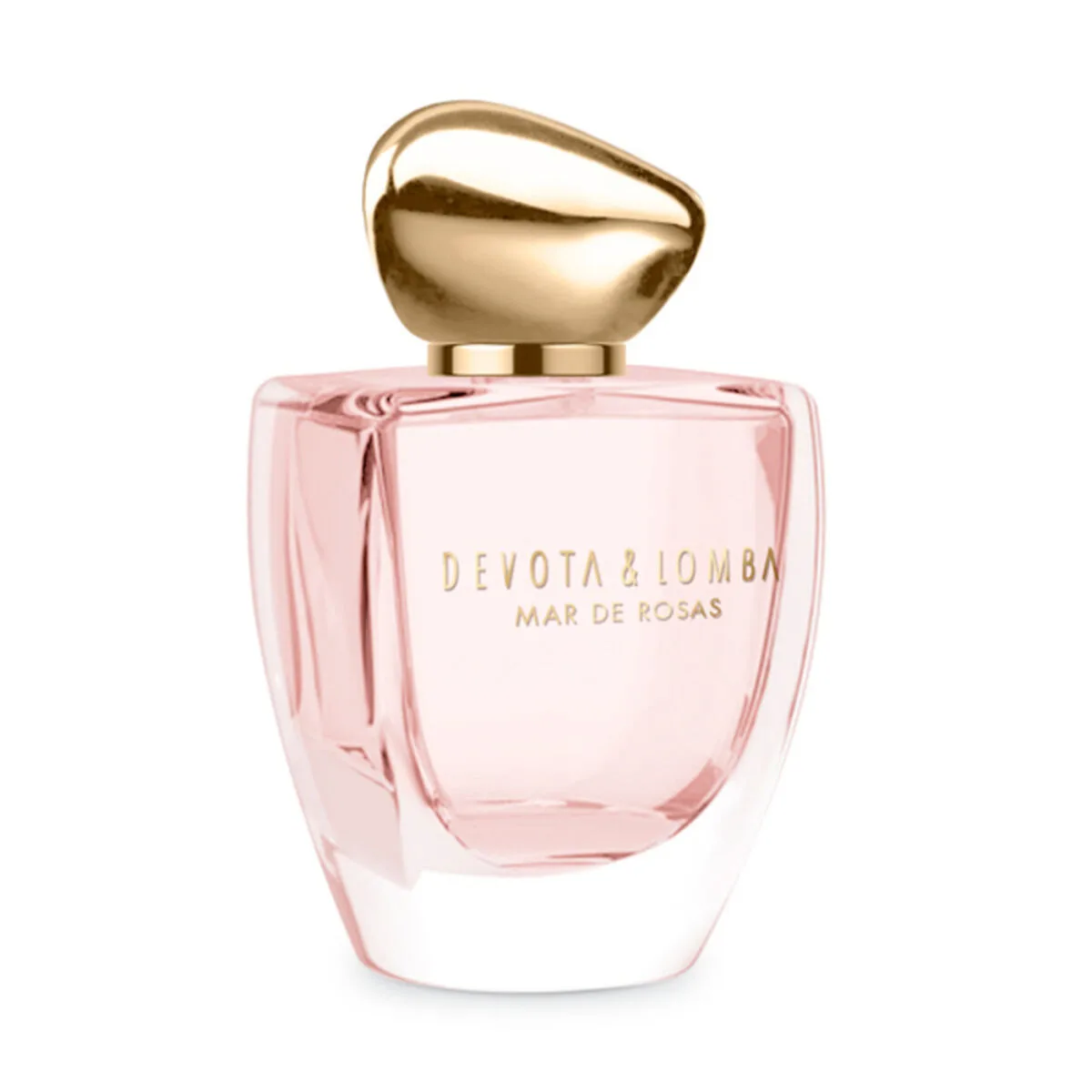 Parfum femme mar de rosas devota lomba edp edp s056545768. Diaytar, c'est le livre dont vous êtes le héros. Chaque produit que vous choisissez est un chapitre de votre histoire.