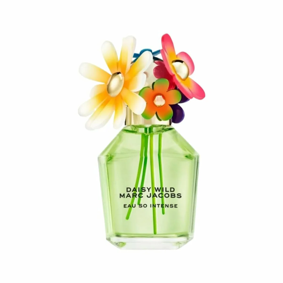 Parfum femme marc jacobs daisy wild 50 ml s0513133971. Plongez dans l'univers Diaytar, votre référence pour des produits du quotidien, high-tech et déco, tous porteurs de tendances
