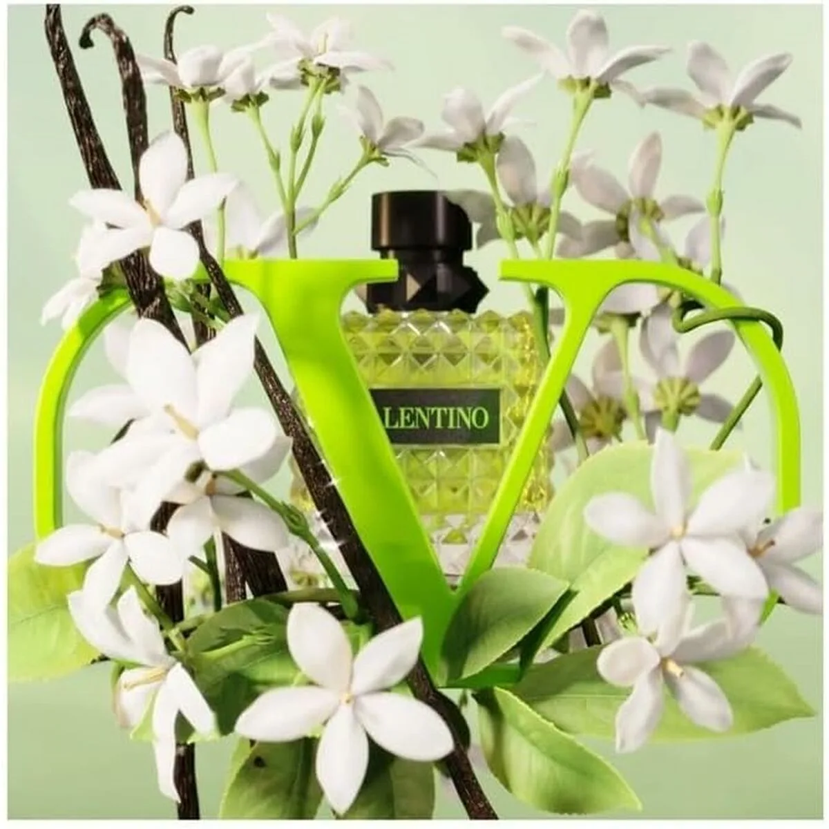 Parfum femme valentino donna born in roma green stravaganza m012308968. Diaytar c'est bien plus qu'une boutique en ligne : c'est un concept où chaque produit, de l'électronique à la décoration, raconte une histoire