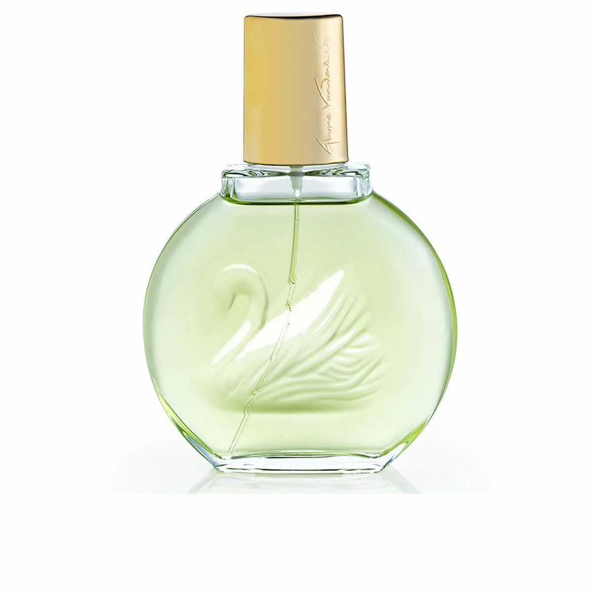 Parfum femme vanderbilt jardin a new york eau fraiche edp 100 ml s831990577. Diaytar, le compagnon des esprits créatifs et exigeants en quête de produits généraux hors des sentiers battus