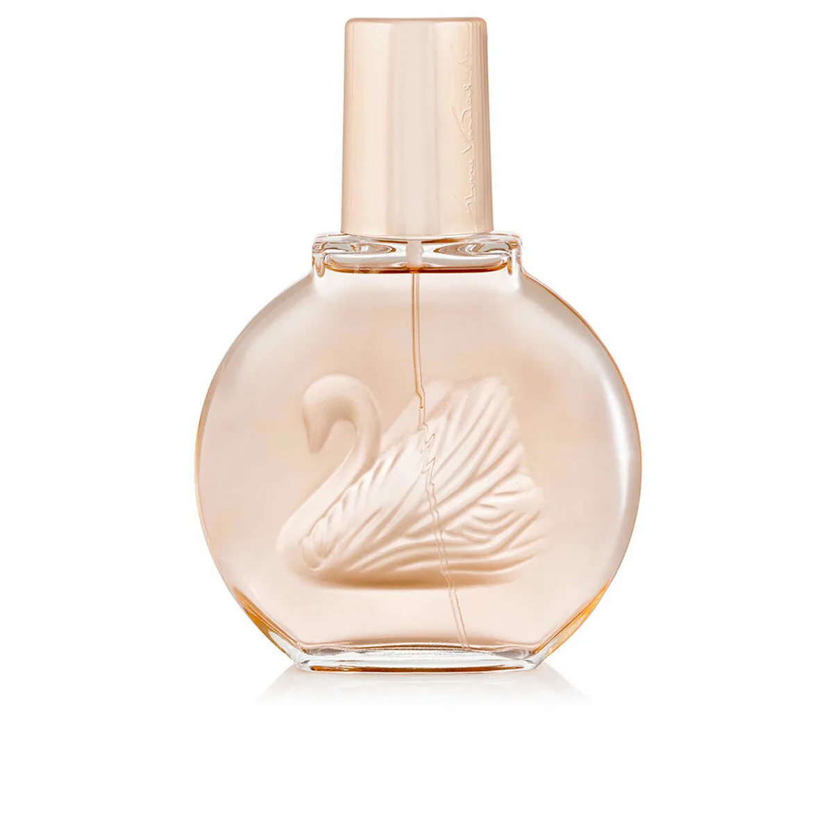 Parfum femme vanderbilt miss vanderbilt edt 100 ml s0512580237. Nous sommes les archéologues du produit parfait. Diaytar exhume pour vous les trésors cachés du marché.