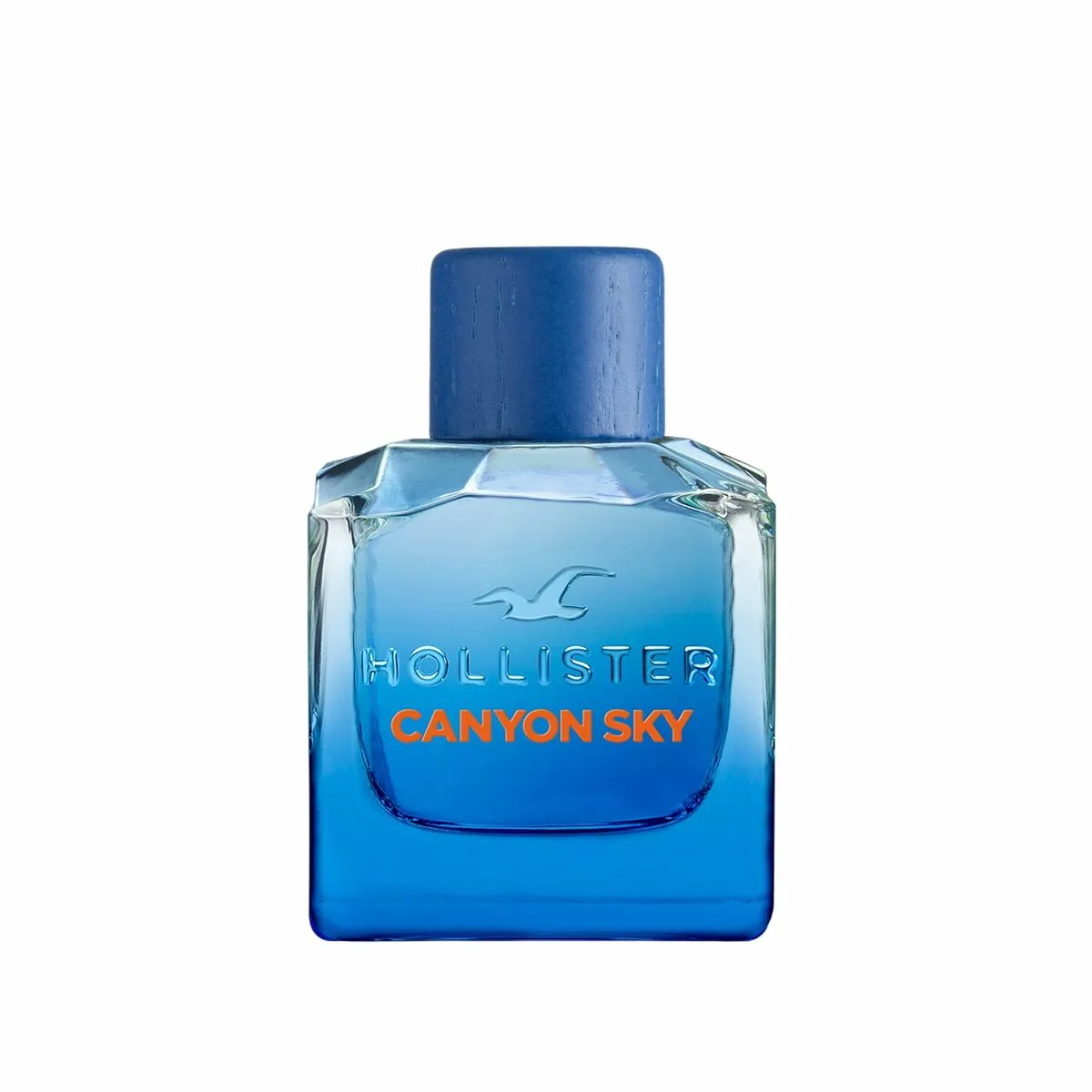 Parfum homme hollister canyon sky edt 100 ml s831558635. Diaytar cultive l'art du bien-être à travers ses produits soigneusement choisis.