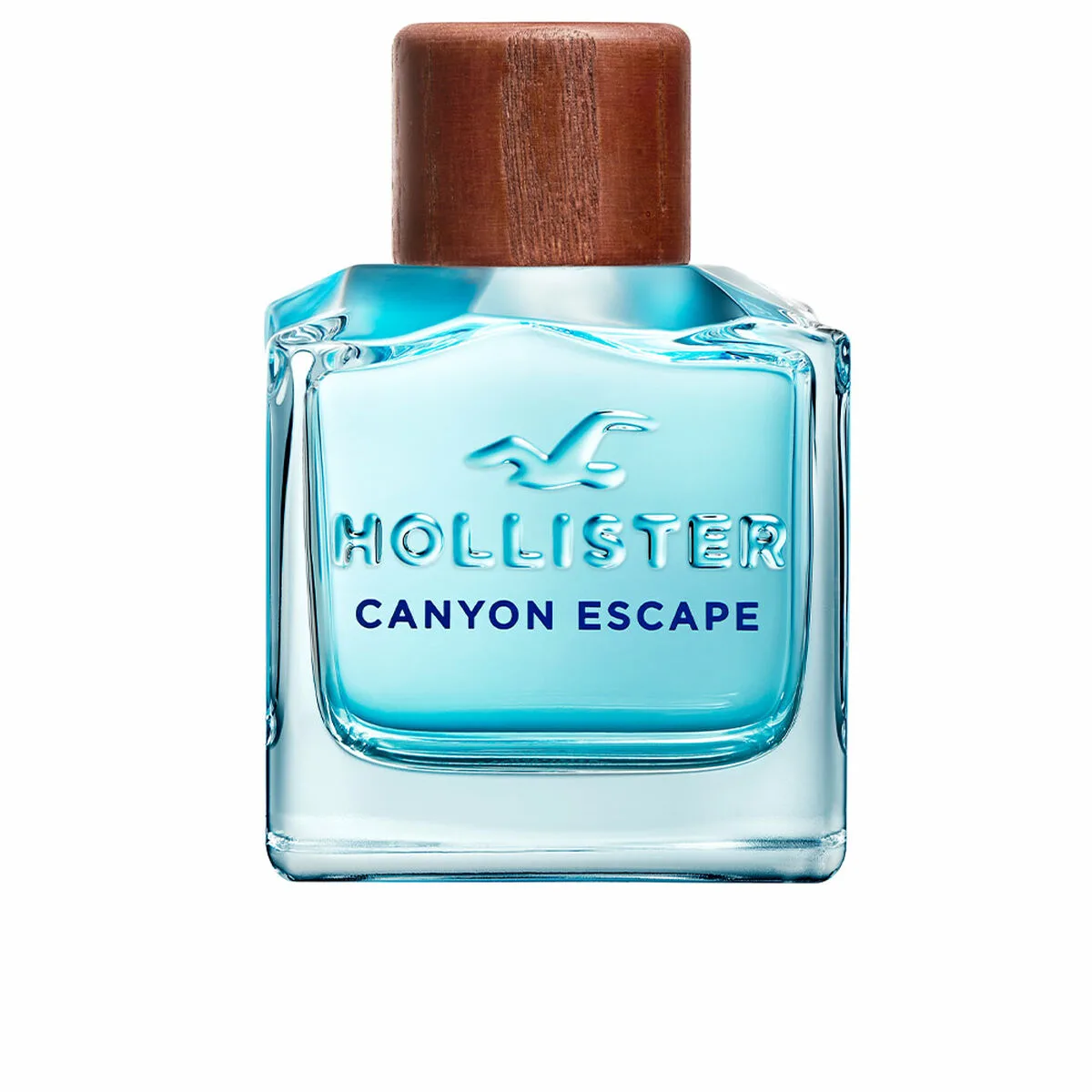 Parfum homme hollister edt 50 ml 100 ml s058671115. Diaytar, c'est la promesse tenue d'un e-commerce où l'émerveillement devant un produit simple est encore possible.