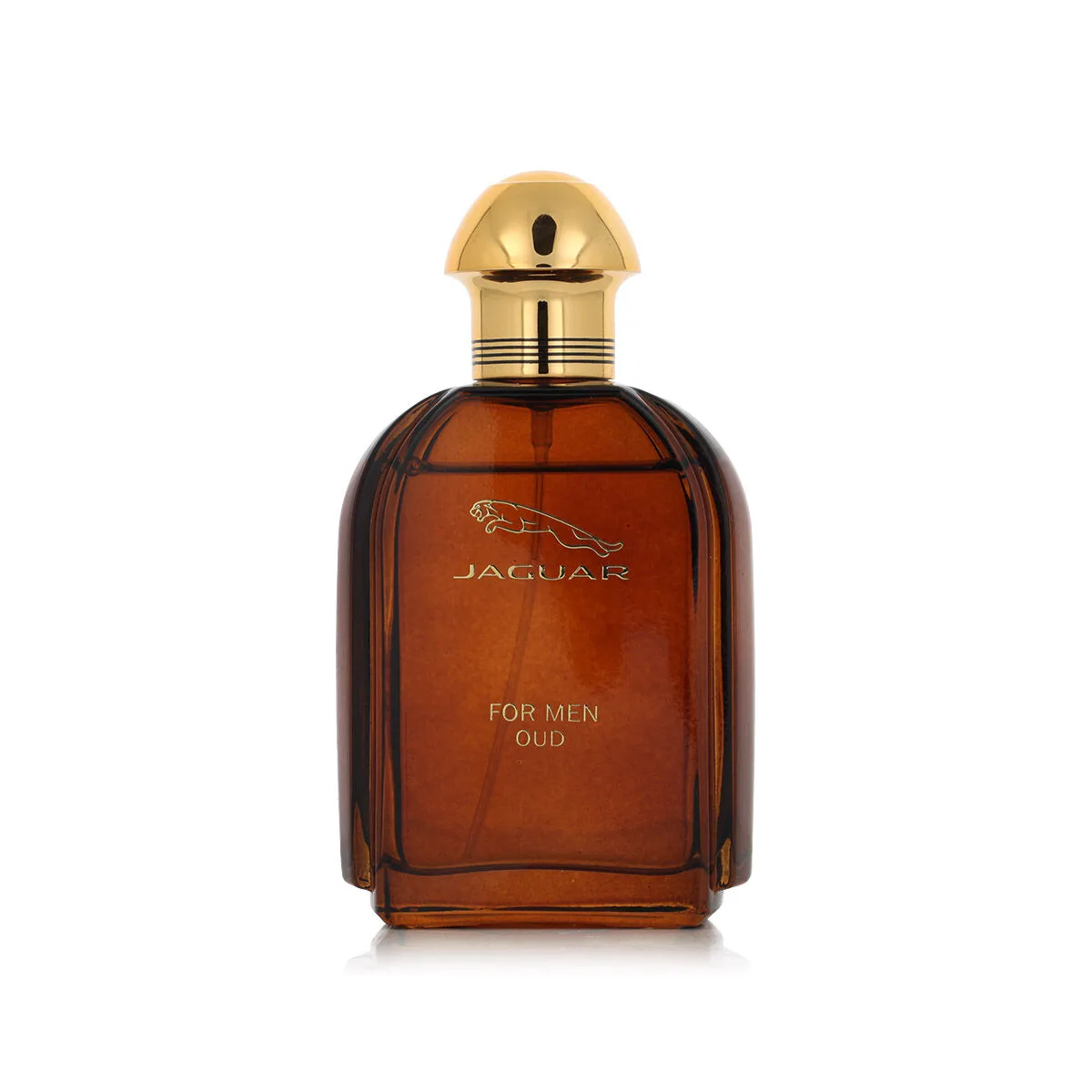 Parfum homme jaguar edp oud 100 ml s831436379. Diaytar, c'est le compagnon de ceux qui aiment prendre soin d'eux et de leur intérieur avec des produits choisis avec amour.