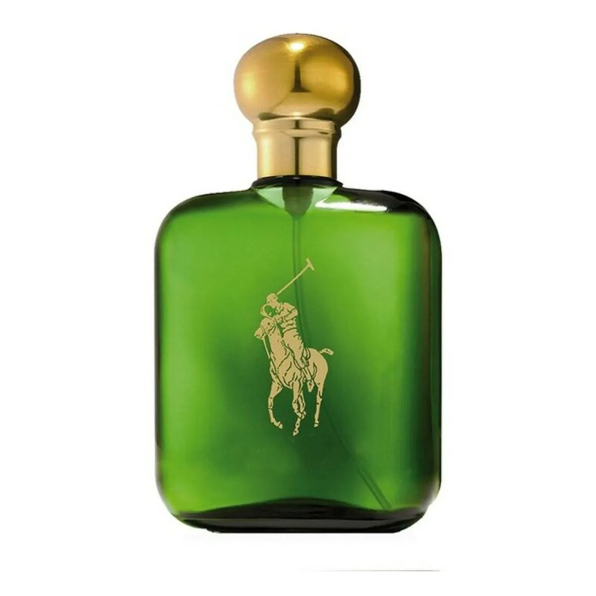 Parfum homme ralph lauren polo green edt 59 ml s831853095. Diaytar a fait de la variété son arme secrète : une offre généraliste si vaste que vous y trouverez forcément l'inimaginable
