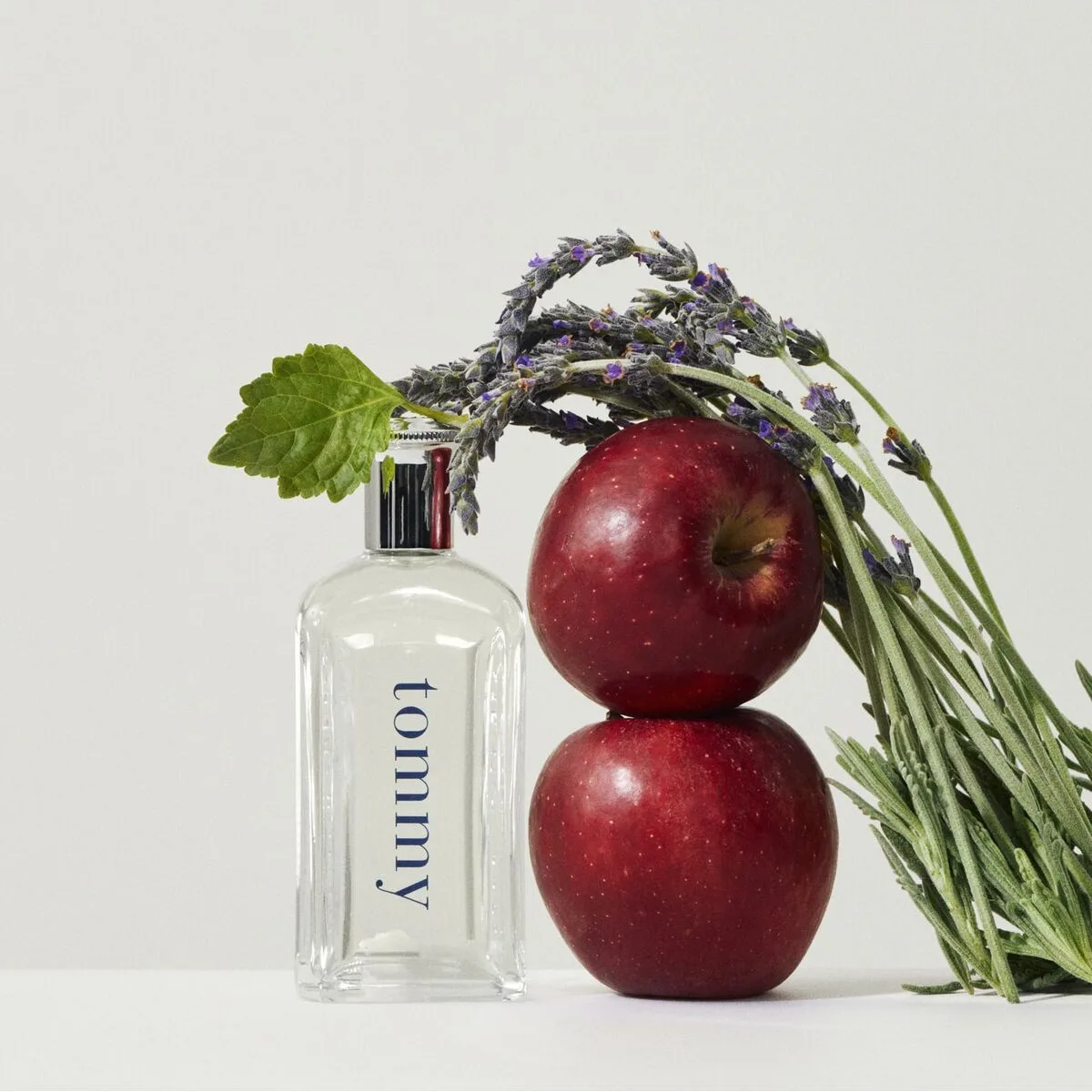 Parfum homme tommy hilfiger tommy edt 30 ml s831582069. La promesse Diaytar : une sélection rigoureuse de produits généraux où la tendance et la durabilité vont de pair