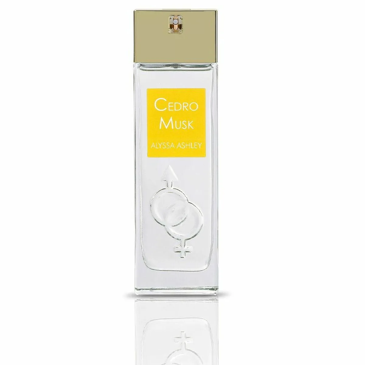 Parfum unisexe alyssa ashley cedro musk edp edp 100 ml s059164580. Diaytar, c'est le carnet d'adresses secret des influenceurs lifestyle. Découvrez les produits qu'ils utilisent vraiment.