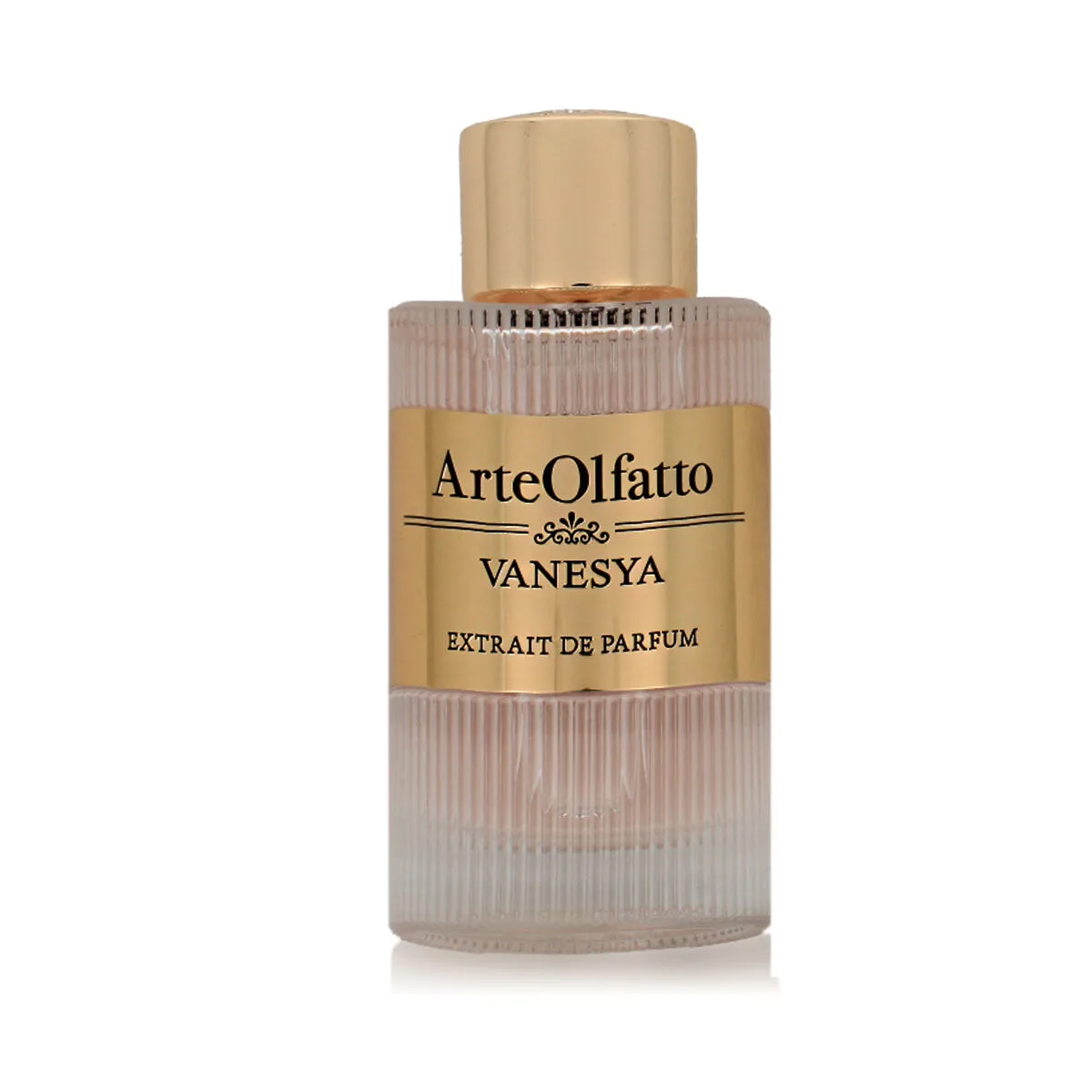 Parfum unisexe arteolfatto vanesya 100 ml s831815618. Tendance, confort et qualité : la trilogie gagnante de Diaytar Mode.