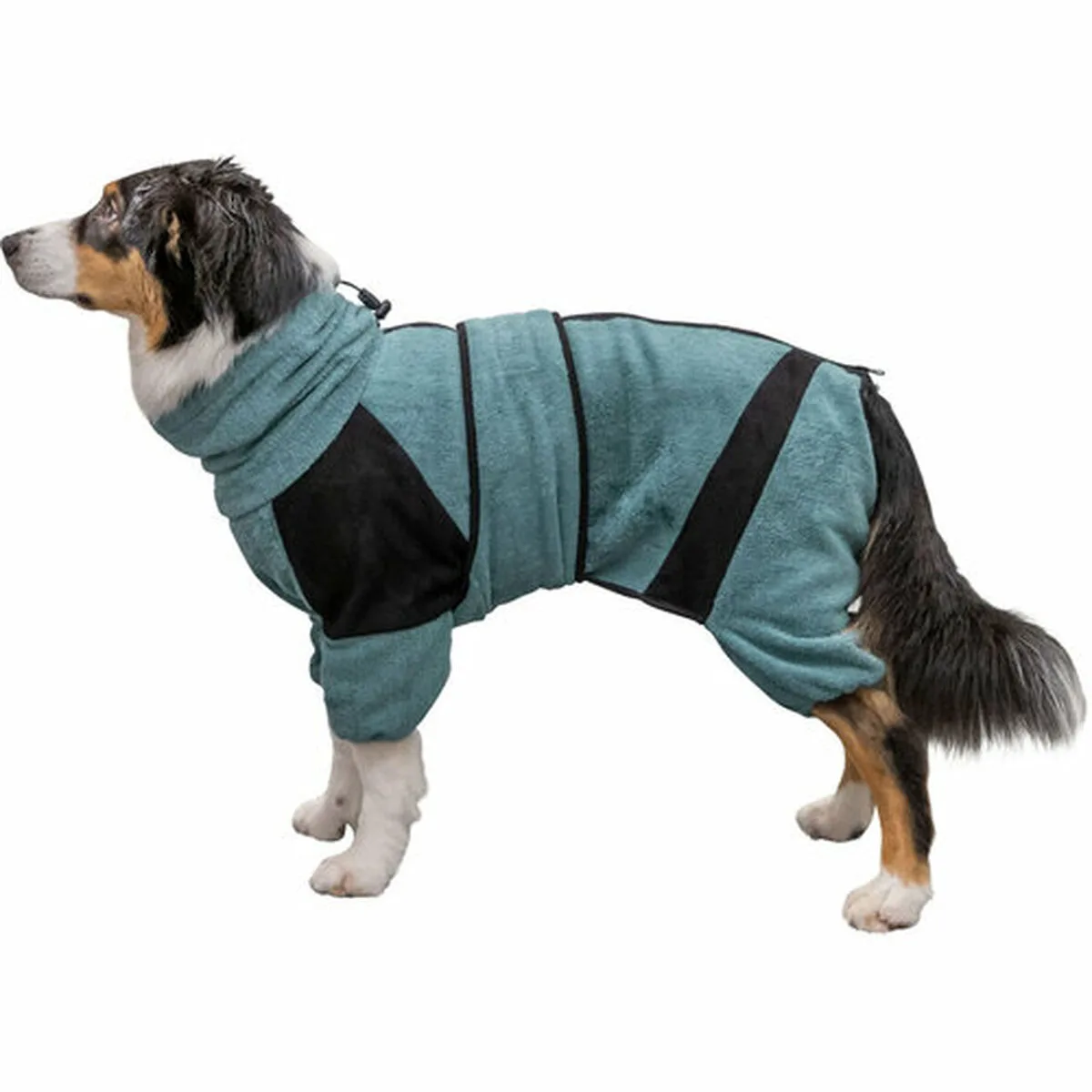 Peignoir pour chien trixie bleu m l m l m060751234. L'excellence à portée de clic avec la boutique en ligne Diaytar.
