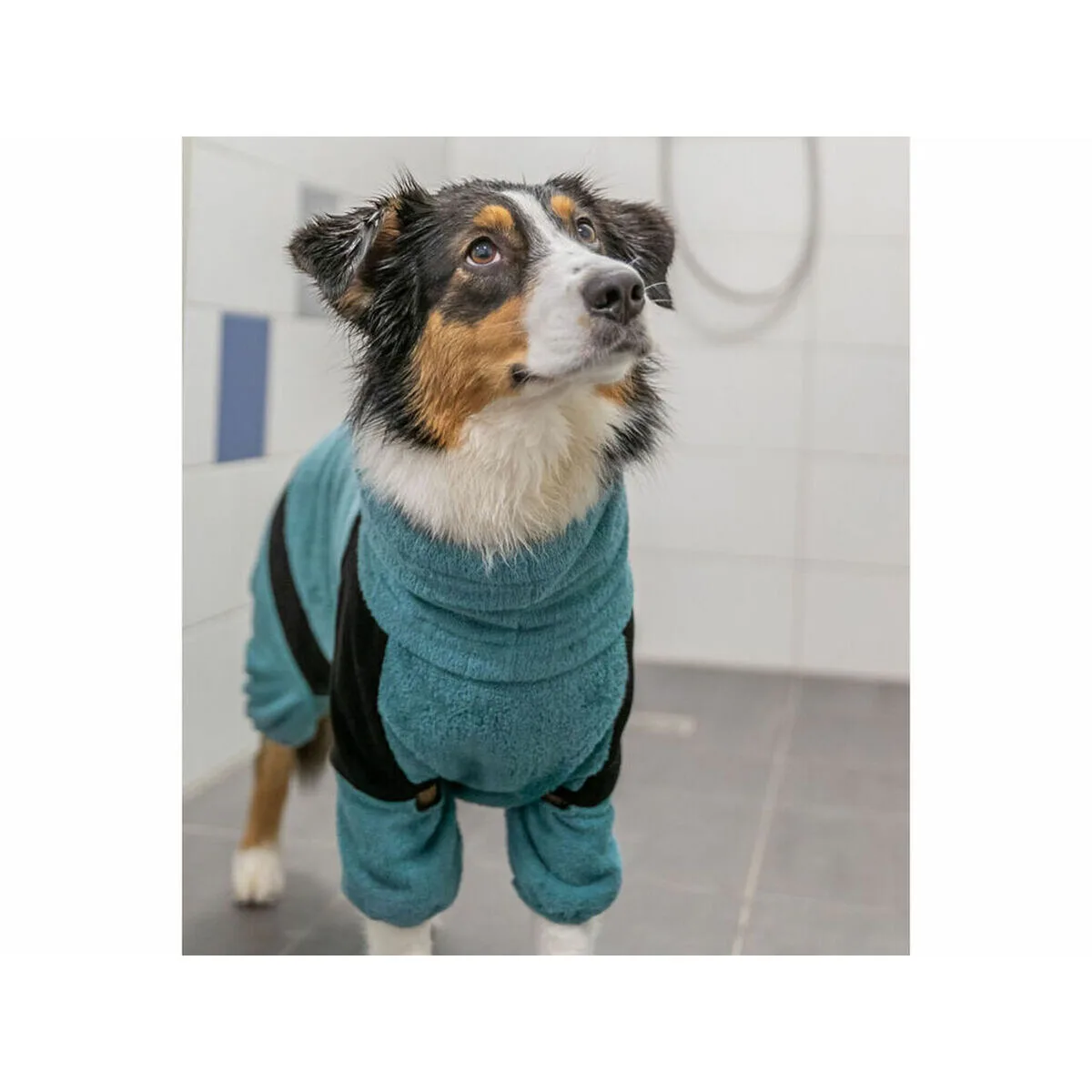 Peignoir pour chien trixie bleu xs m060751349. Diaytar réinvente votre quotidien avec des objets déco pleins de charme.