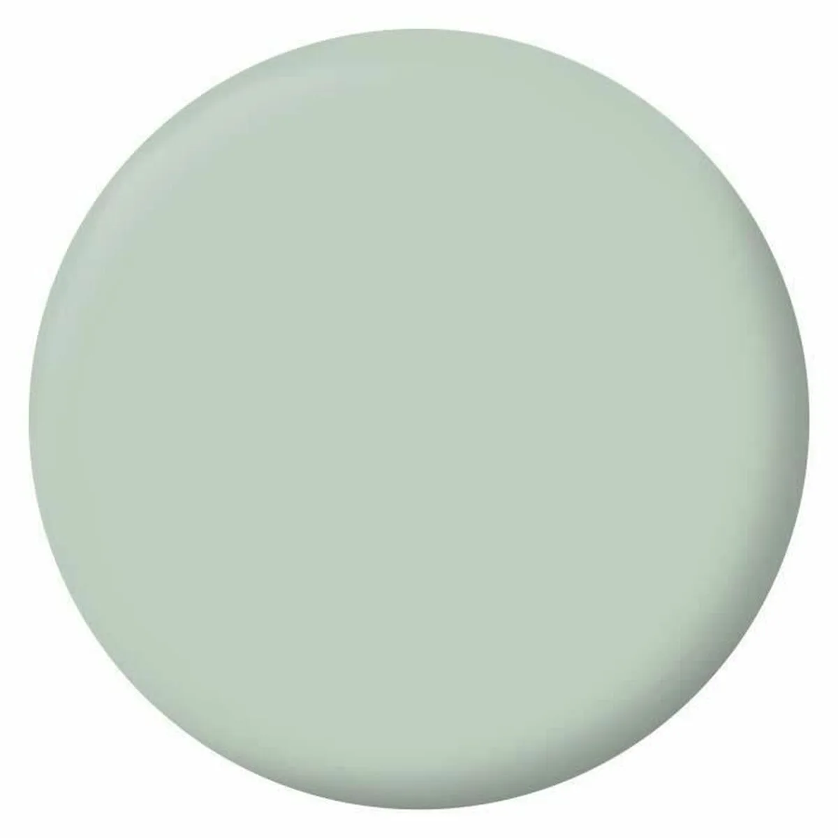 Peinture d appret ripolin vert 2 5 l mat s7101436899. La qualité Diaytar : un engagement, une promesse, une satisfaction garantie.