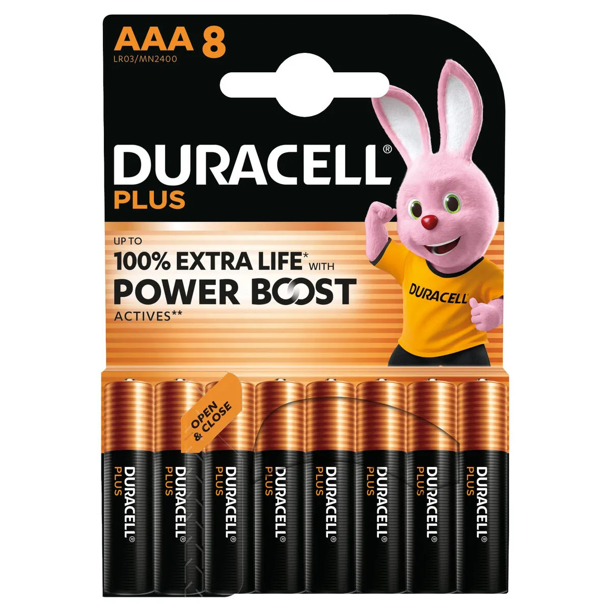 Piles rechargeables duracell dpblr3b8 1 5 v aaa s991884771. L'excellence à portée de clic avec la boutique en ligne Diaytar.