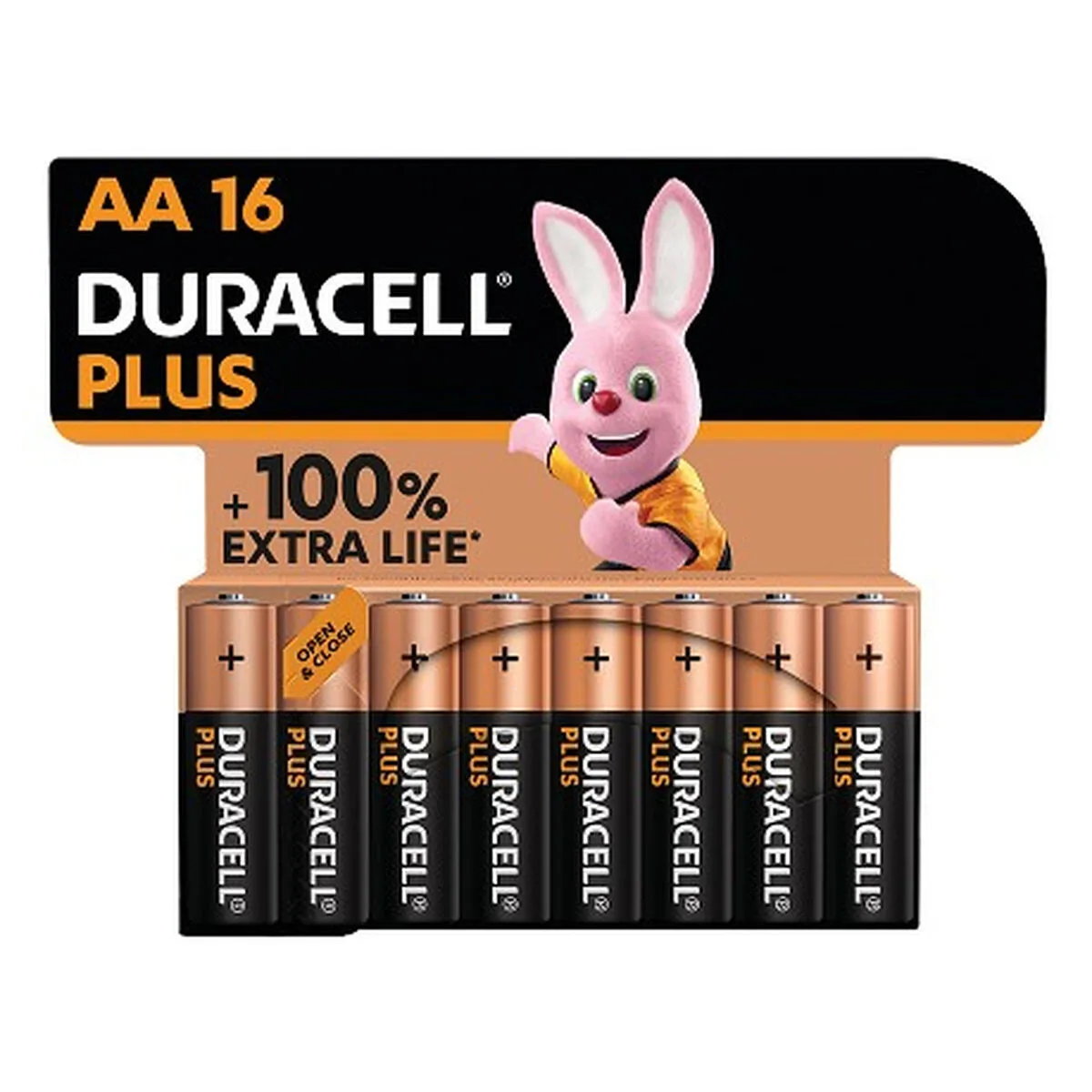 Piles rechargeables duracell dpblr6b16 1 5 v s991884945. Diaytar s'engage : derrière chaque produit se cache une promesse de qualité, de durabilité et de satisfaction.