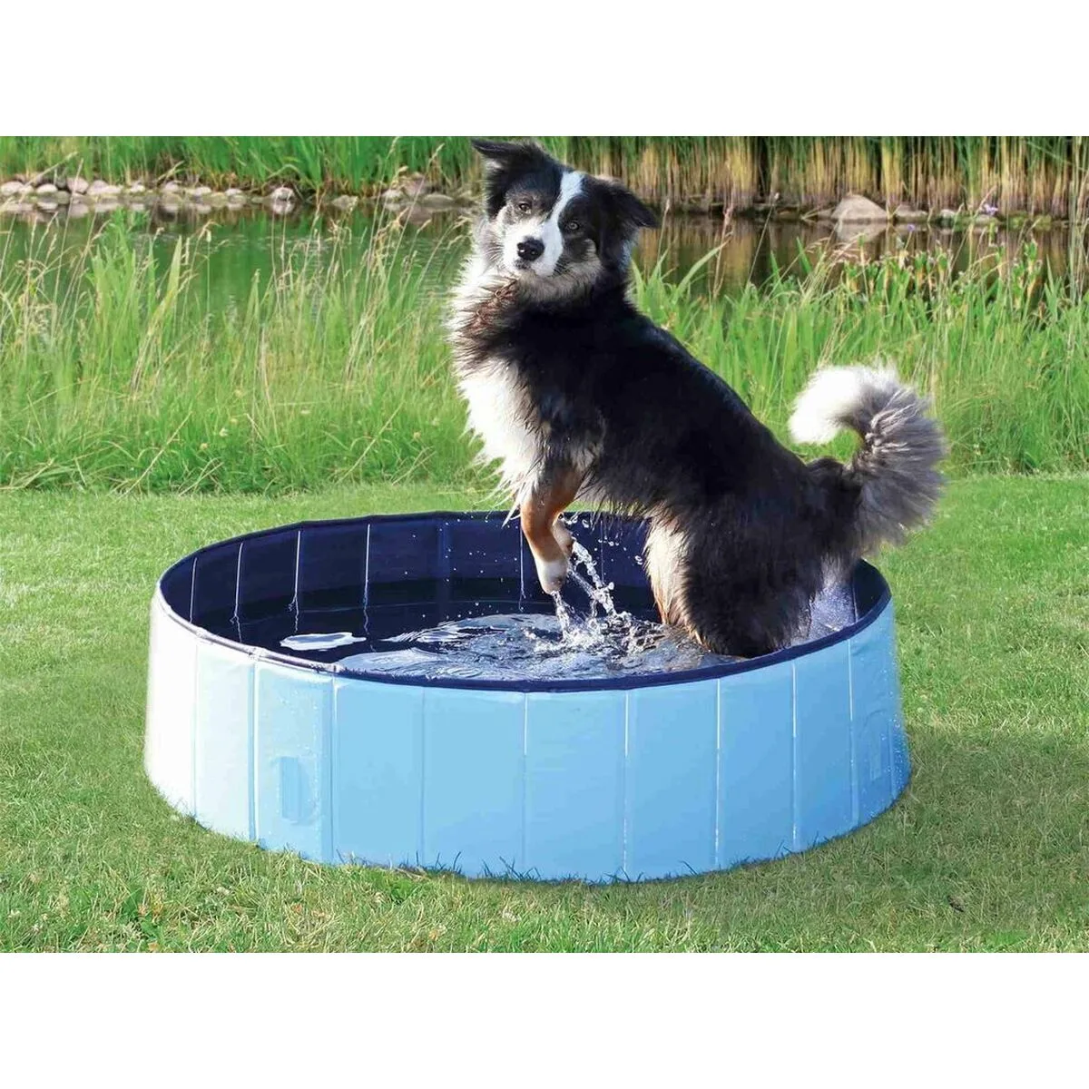 Piscine pour chiens trixie bleu clair o 70 x 12 cm m060453136. Notre ambition pour Diaytar : devenir le réflexe numéro 1 lorsque vous pensez 'produit génial'.