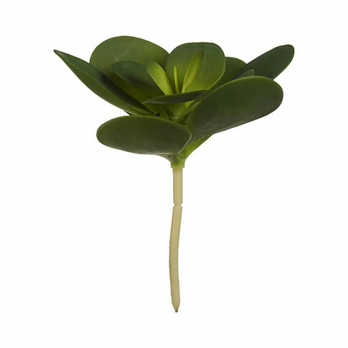 Plante decorative ibergarden yd180205 plastique volets ronde 18 x 23 x 18 cm 6 unites s362495143. La promesse Diaytar : une sélection rigoureuse de produits généraux où la tendance et la durabilité vont de pair