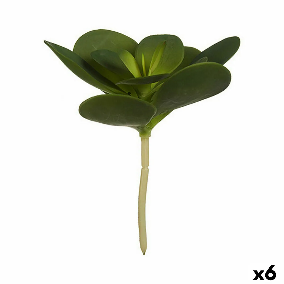 Plante decorative ibergarden yd180205 plastique volets ronde 18 x 23 x 18 cm 6 unites s362495175. Diaytar, c'est la plateforme qui ose remettre l'humain au centre de l'expérience produit, dans un monde de plus en plus digital.