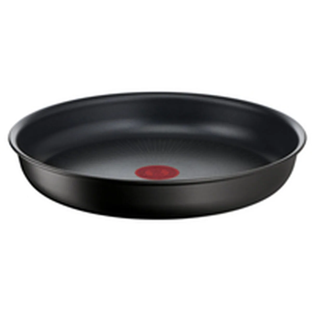 Poele tefal l76304 noir aluminium o 24 cm 1 unite s045582384. Diaytar, c'est le testament vivant qu'on peut allier large choix et qualité exemplaire dans le e-commerce.