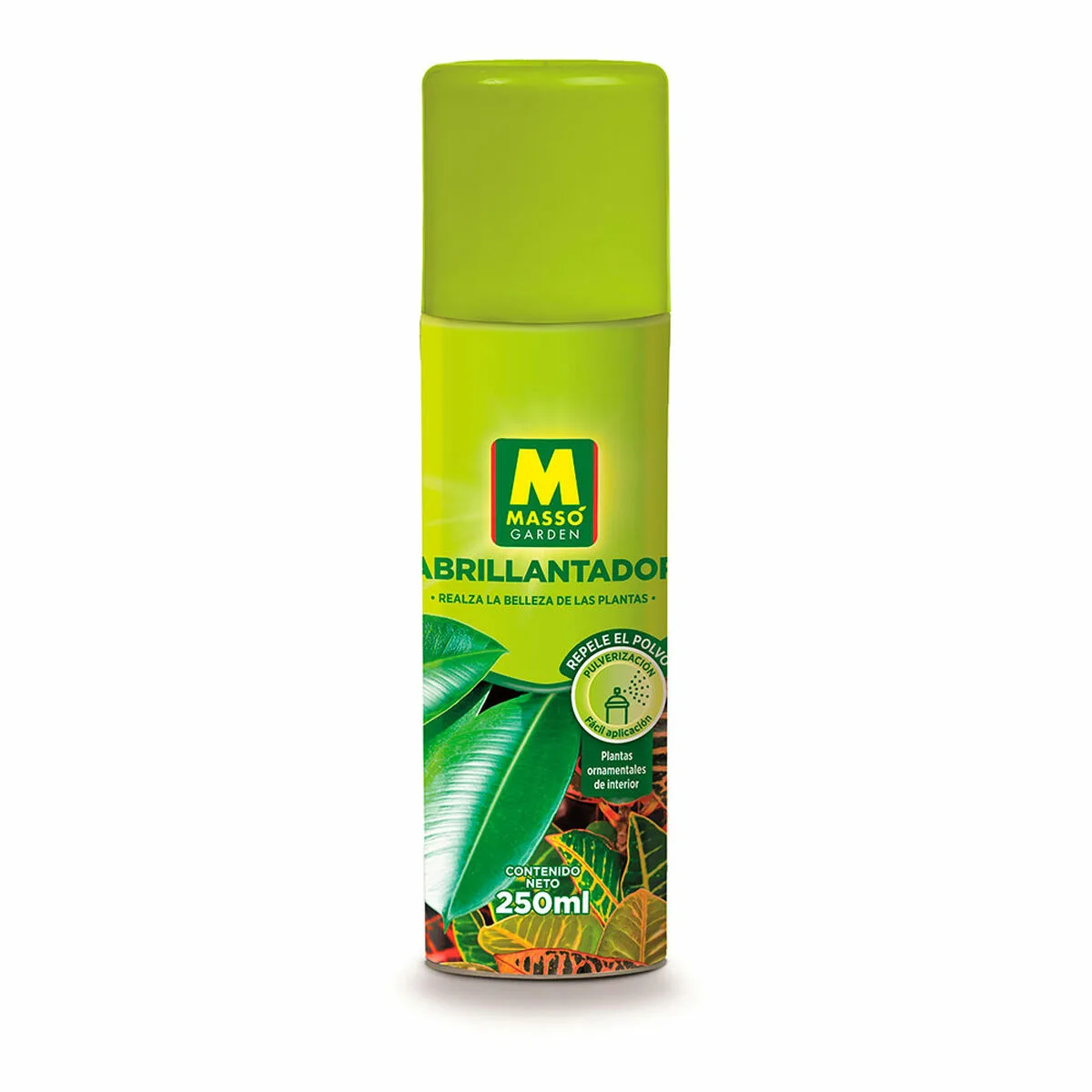 Polisseur masso plantes 250 ml s790287945. Osez l'expérience Diaytar et découvrez comment des produits bien choisis peuvent éléver votre qualité de vie.