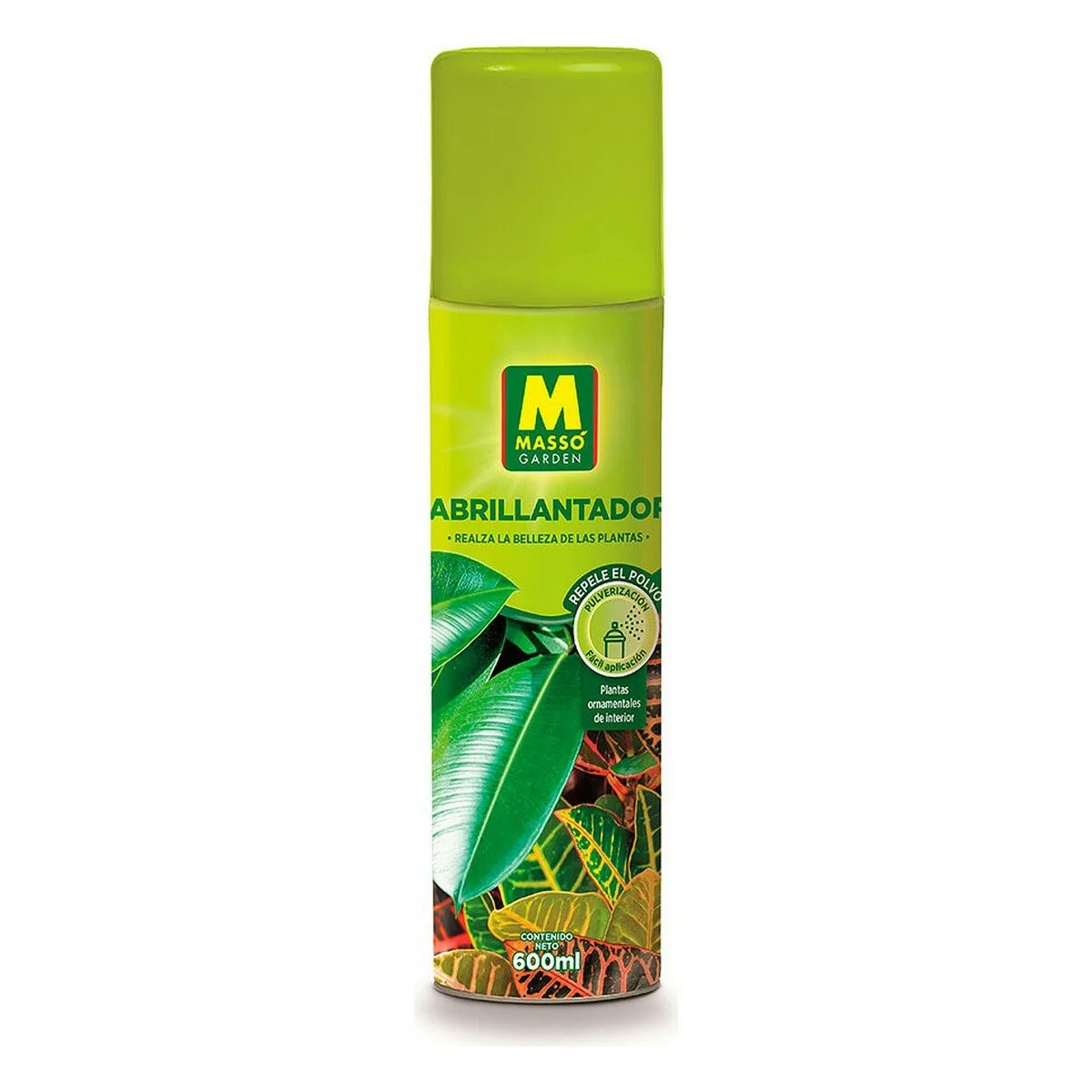 Polisseur masso plantes 600 ml s790574930. Nous avons voulu Diaytar comme une deuxième maison, remplie de produits qui vous ressemblent et vous facilitent la vie.