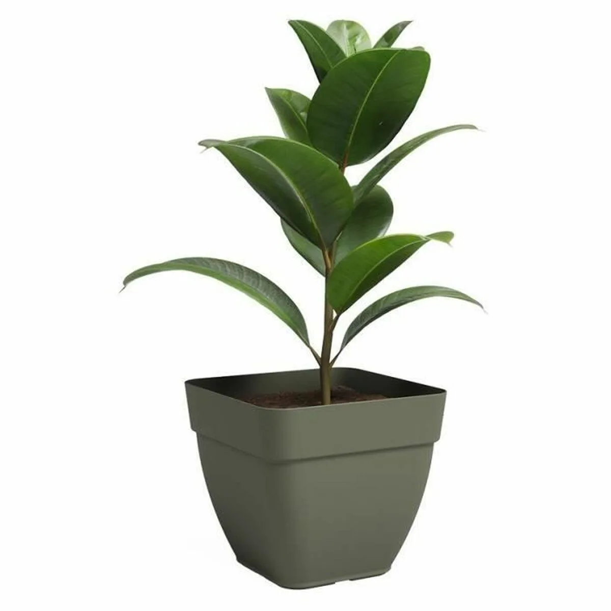 Pot artevasi 36 5 x 36 5 x 33 5 cm vert s719814821. Diaytar puise sa force dans sa capacité à sans cesse renouveler son offre avec des produits généraux frais et inattendus