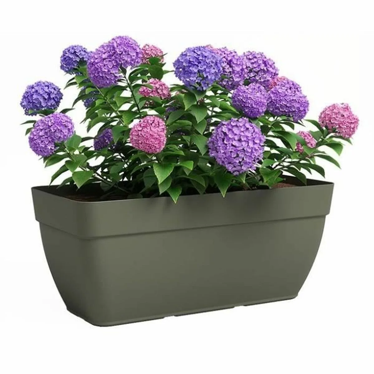 Pot artevasi 57 9 x 24 3 x 22 cm vert s719827689. Diaytar, le nom qui garantit que chaque produit, du plus technologique au plus basique, a été choisi avec goût et exigence