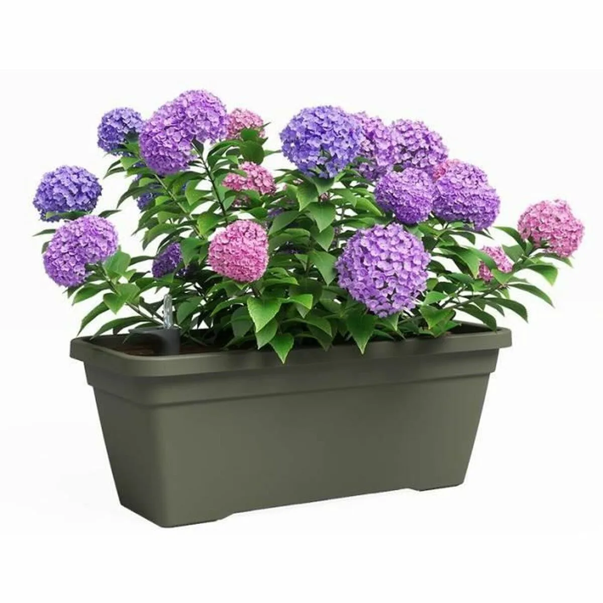 Pot artevasi 77 9 x 24 x 22 cm vert s719827447. Notre raison d'être : vous faire économiser le plus précieux des resources : votre temps. Bienvenue sur Diaytar, les produits triés sur le volet.
