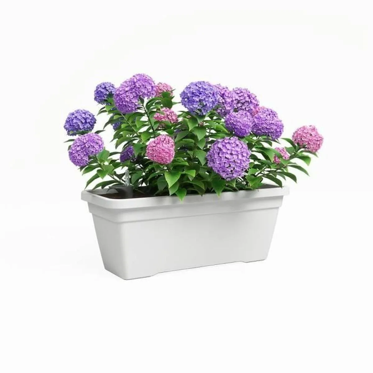 Pot artevasi venezia l sws blanc s7101151055. Diaytar s'adapte à vos besoins avec une gamme complète et variée.