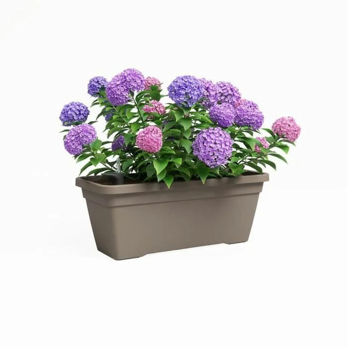 Pot artevasi venezia l sws marron taupe 4 pieces s7101151119. Diaytar transforme l'essai du e-commerce généraliste en vous offrant une expérience curated, qualitative et surprenante