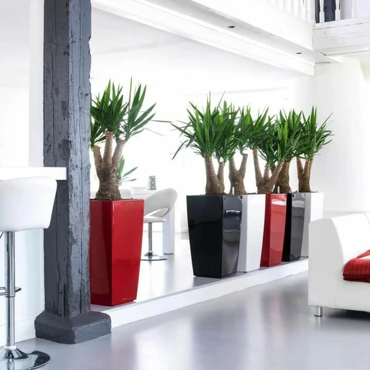 Pot auto arrosant lechuza rouge 39 5 x 39 5 x 75 5 cm polypropylene plastique rectangulaire s7100039845. Diaytar, c'est la démonstration que le meilleur des produits est à portée de clic, sans compromis, sans attente.