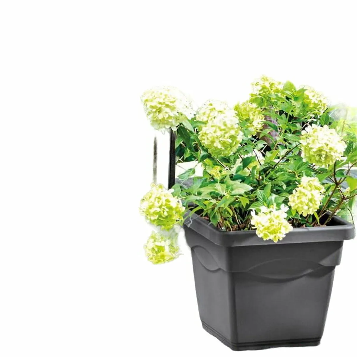 Pot deroma carre anthracite injecte o 38 cm s714917945. Diaytar vous ouvre les portes d'un monde où tous les produits, des plus high-tech aux plus simples, sont source d'inspiration
