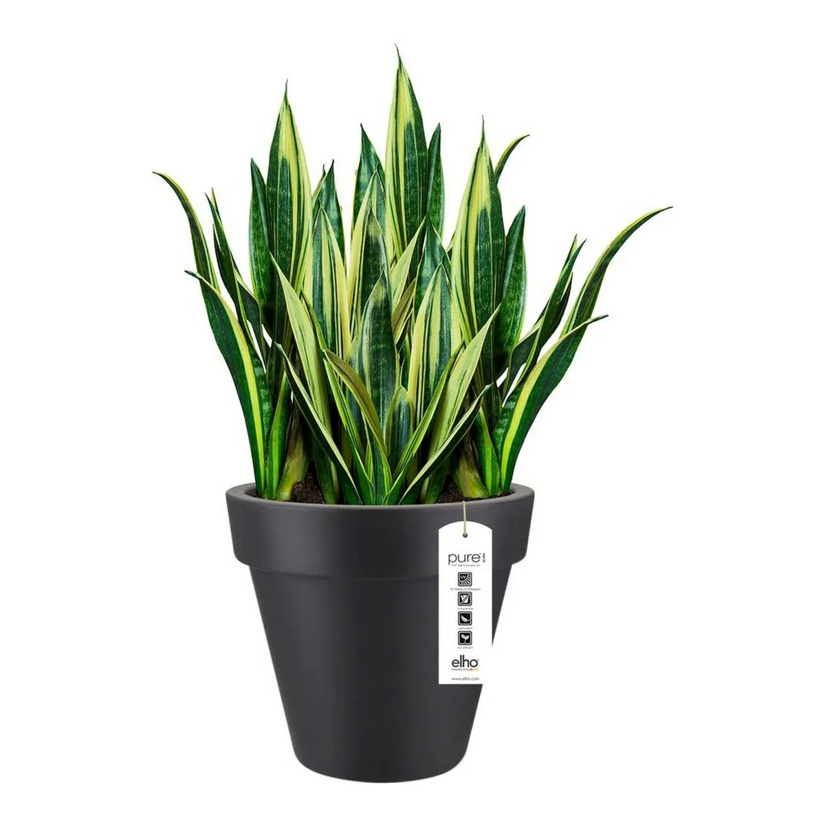 Pot elho 8403604042500 anthracite o 40 cm s710609250. Pour un shopping sans contrainte et plein de bonnes surprises, Diaytar est la destination ultime des produits généralistes