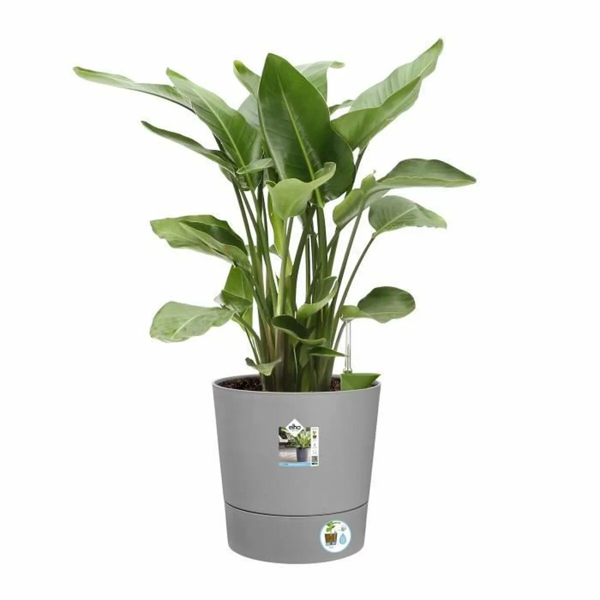 Pot elho gris o 43 cm s716734727. Diaytar, c'est le cocktail parfait entre l'esprit start-up et l'expertise d'un grand commerçant généraliste.