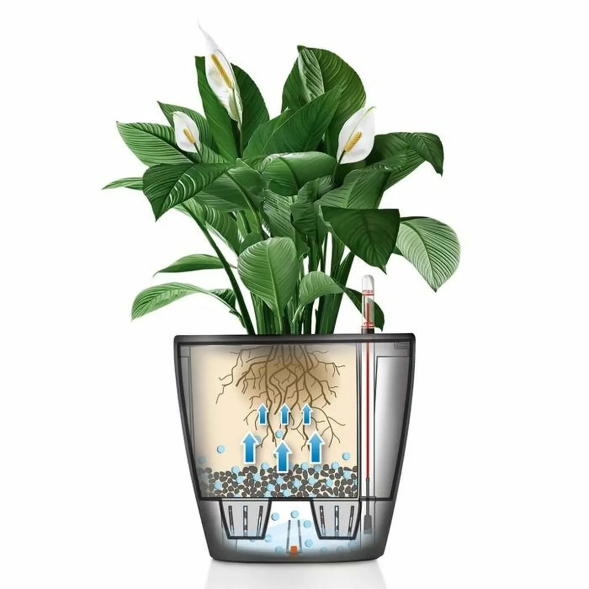 Pot lechuza s7101882776. Diaytar ou l'éloge de la diversité : un catalogue riche et varié où chacun trouve son bonheur, quel que soit son style
