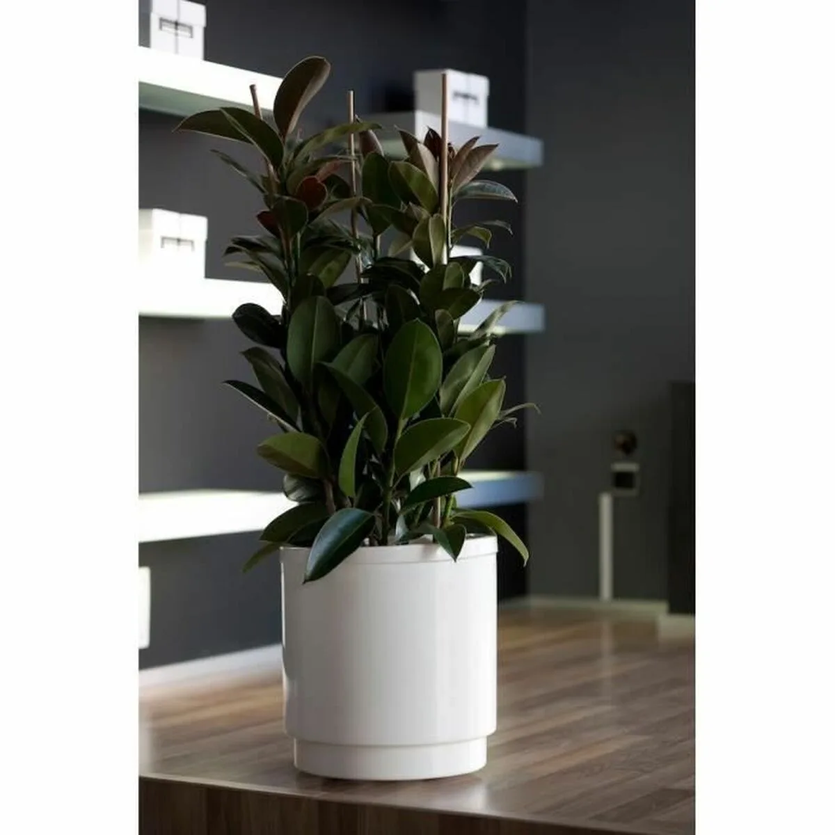 Pot plastiken blanc plastique carre o 38 cm s718923850. Diaytar, le garde-meuble moderne de toutes vos envies : des produits pour combler tous vos besoins et toutes vos fantasies.